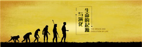 国家开放大学终身教育平台app最新官方版 v1.0